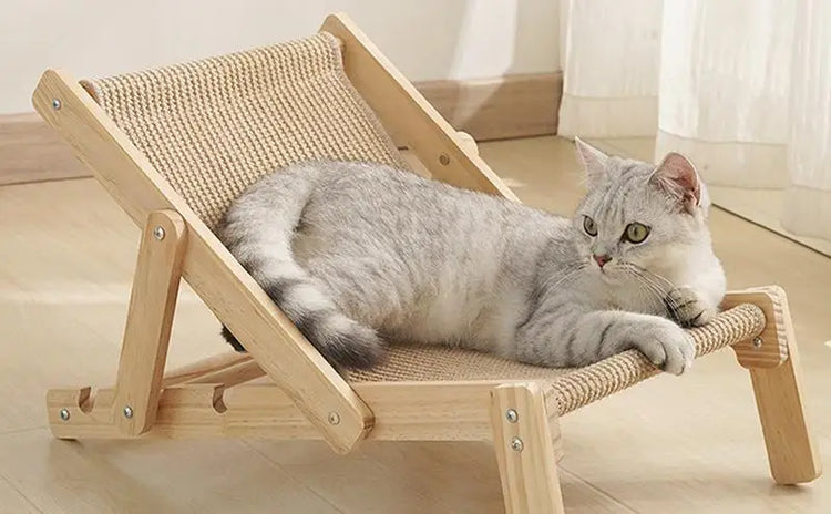 New Cat Chair Pet Sisal Bed Adjustable Recliner Portable Puppy Sleeping Nest House Comfort Nestapply Cat Dog Supplies